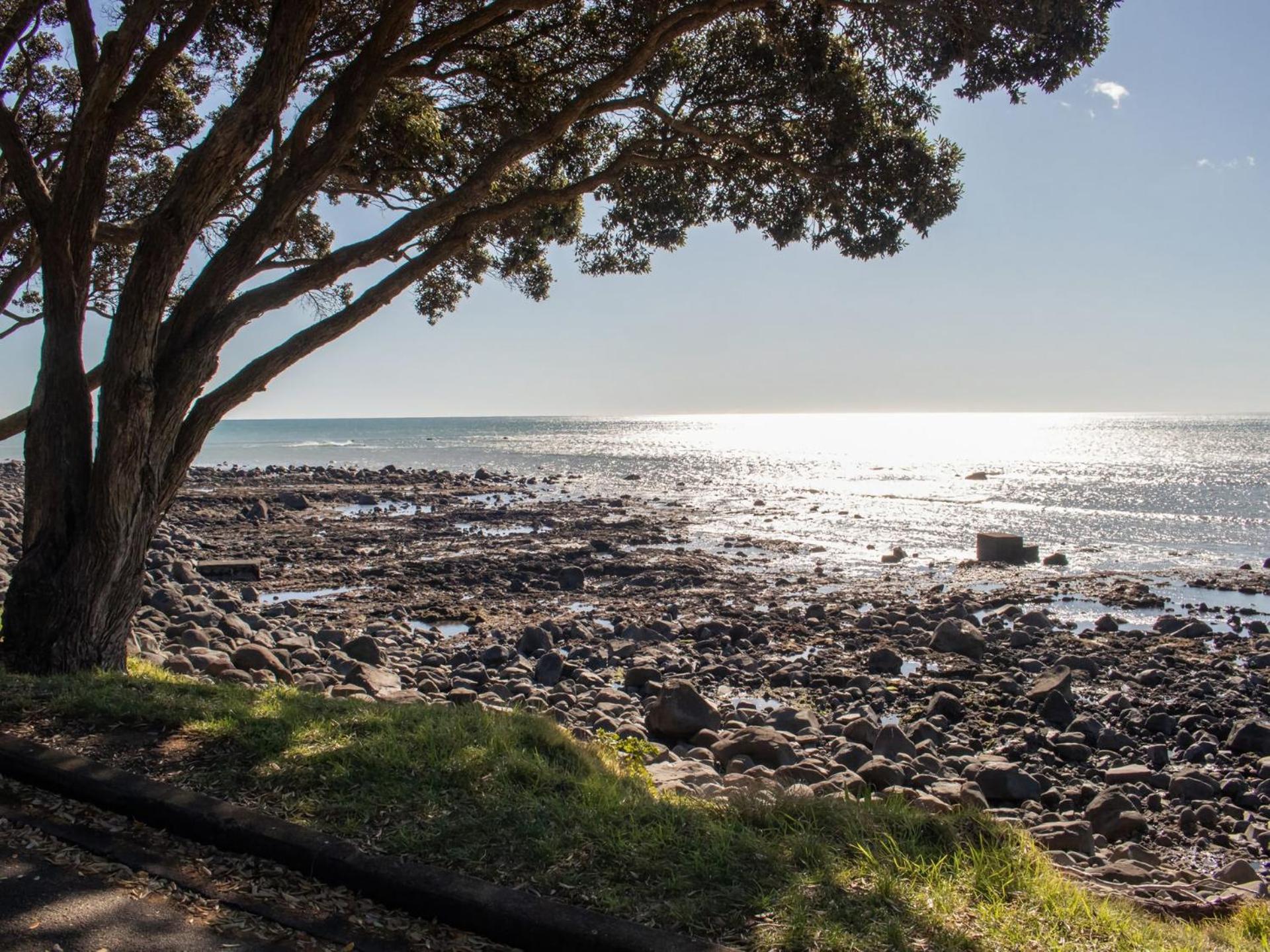 The Coastal Cottage Central City Location New Plymouth Kültér fotó